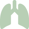 Lungs icon